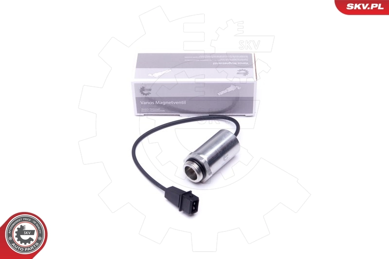39SKV048 SKV