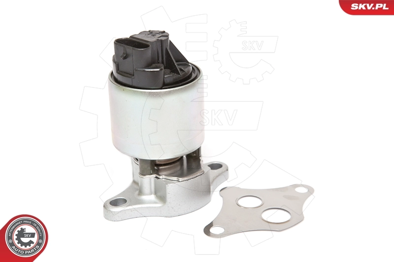 Válvula EGR de recirculação dos gases SKV 14SKV056