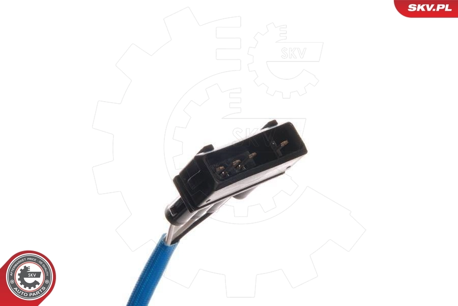 09SKV046 SKV