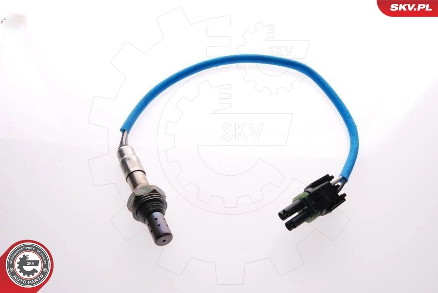 09SKV017 SKV