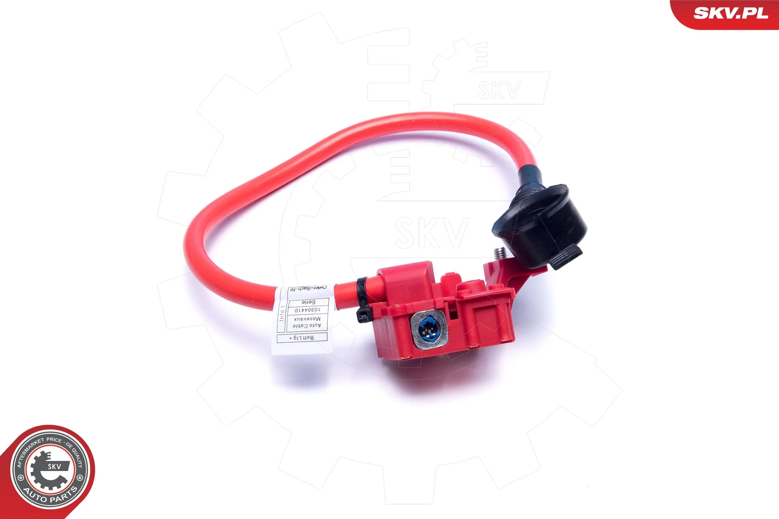 Compre 41915002 AND Cabo de borne positivo de bateria recarregável (PILHA)