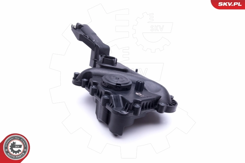 Compre 31SKV160 SKV Válvula PCV de ventilação dos gases de cárter