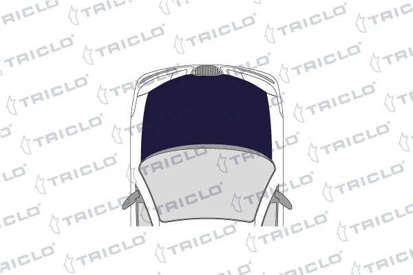 Bomba de motor de fluido para lavador de vidro dianteiro/traseiro Triclo 190367 preço, a partir de 12,91 USD