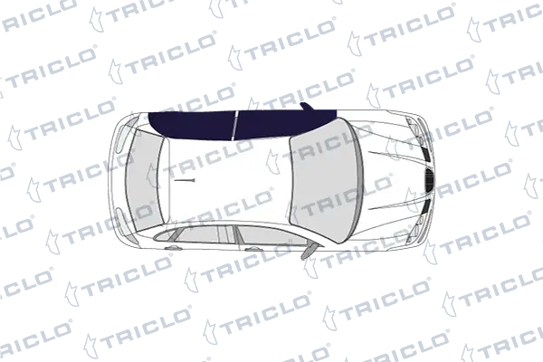124754 Triclo