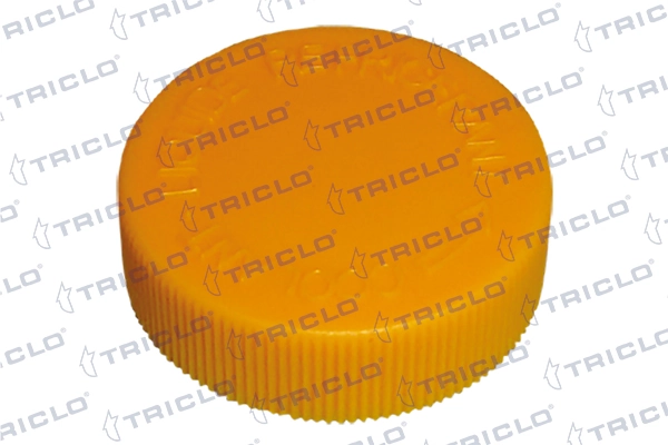 Compre Tampa (tampão) do tanque de expansão Mazda 6 