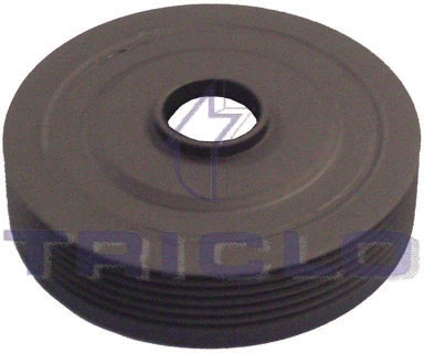 425145 Triclo
