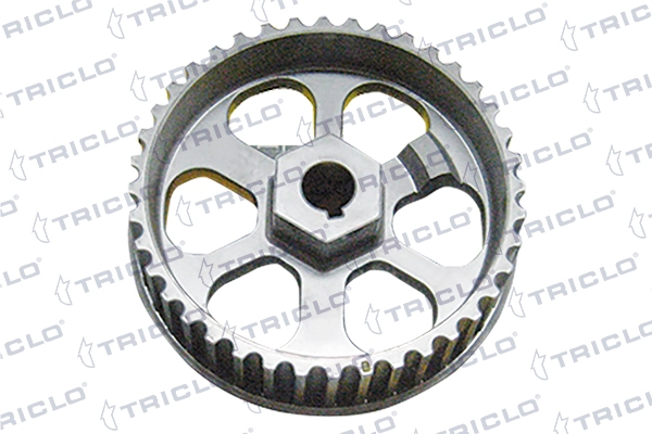 425698 Triclo