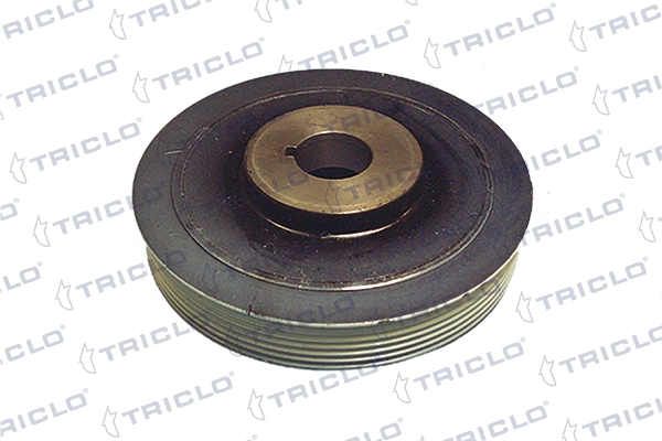 421220 Triclo
