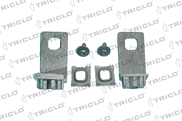 163005 Triclo