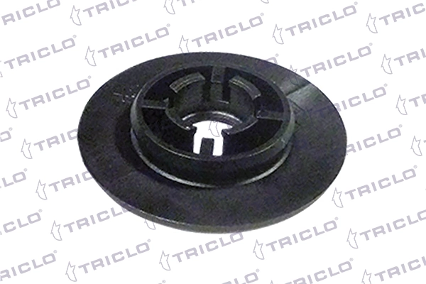 164538 Triclo