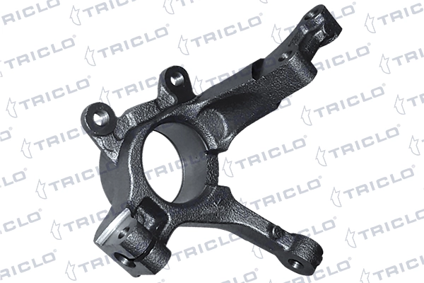 765774 Triclo