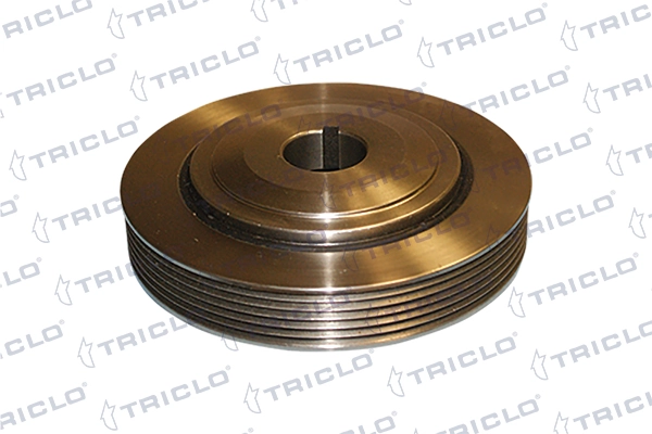 Polia de cambota Fiat/Alfa/Lancia 9641741980