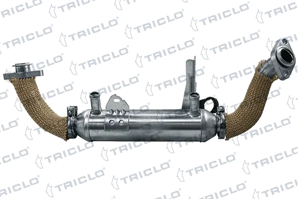 344093 Triclo