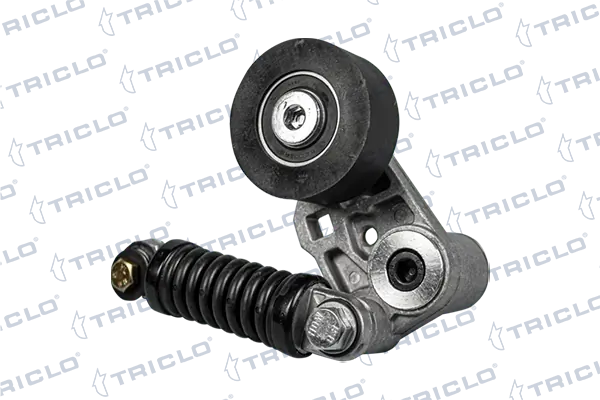 Reguladora de tensão da correia de transmissão Peugeot 206 + 2L, 2M