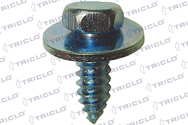 162556 Triclo