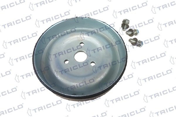  Polia da bomba de água Citroen C4 RUSSIA sedan (B73) (2013 - 2026) RUSSIA