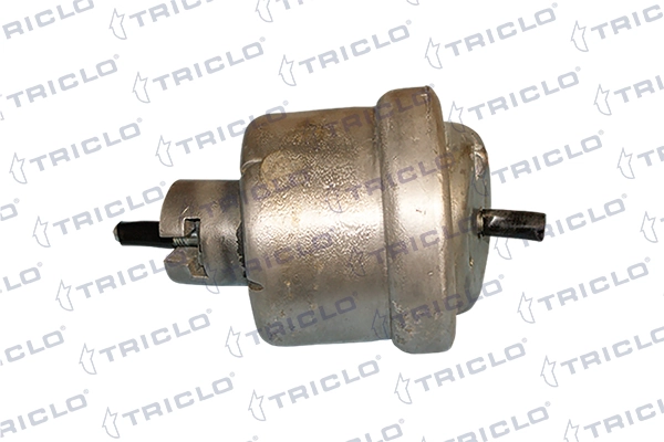368663 Triclo