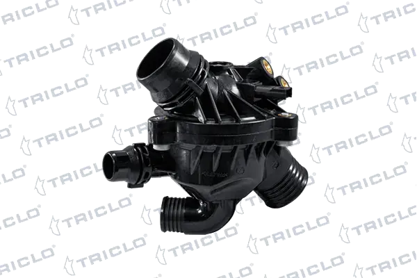 463404 Triclo