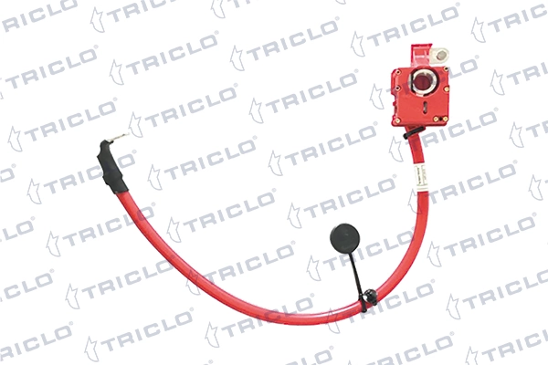 972484 Triclo