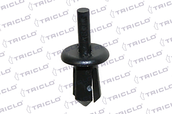 163717 Triclo
