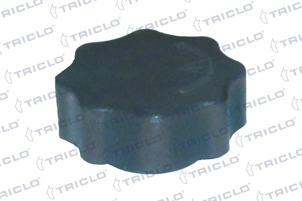 313200 Triclo