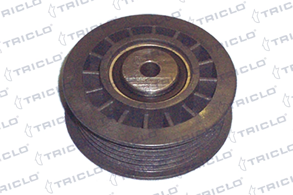 Rolo parasita da correia de transmissão 6012000770 VAG