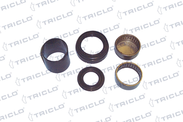 781413 Triclo