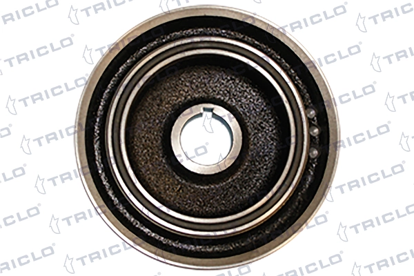 9641741980 Fiat/Alfa/Lancia Polia de cambota