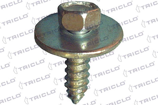 162555 Triclo