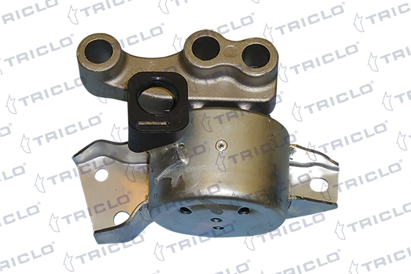 364618 Triclo