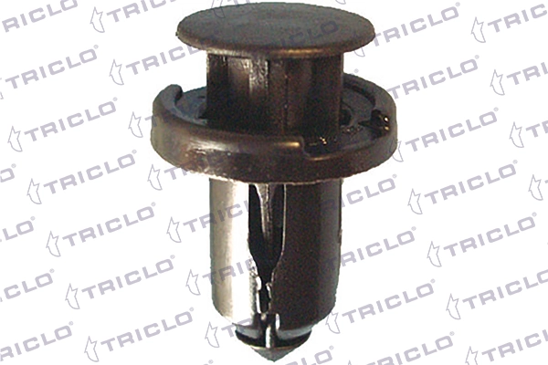 163276 Triclo