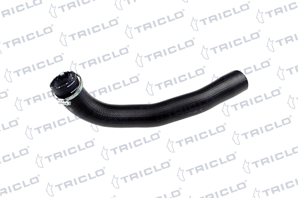 528218 Triclo