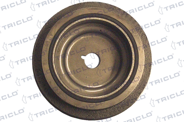 Polia de cambota Renault Twingo I hatchback (C06) (1992 - 2007) I
