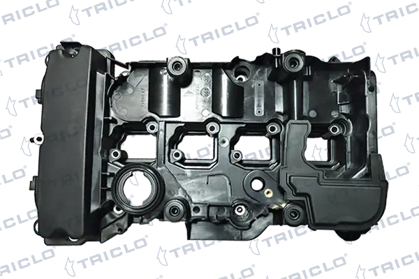 392496 Triclo