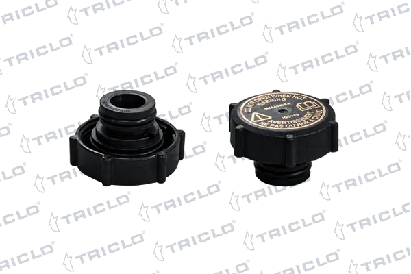 Tampa (tampão) do tanque de expansão Jaguar X-type CF1 ao melhor preço