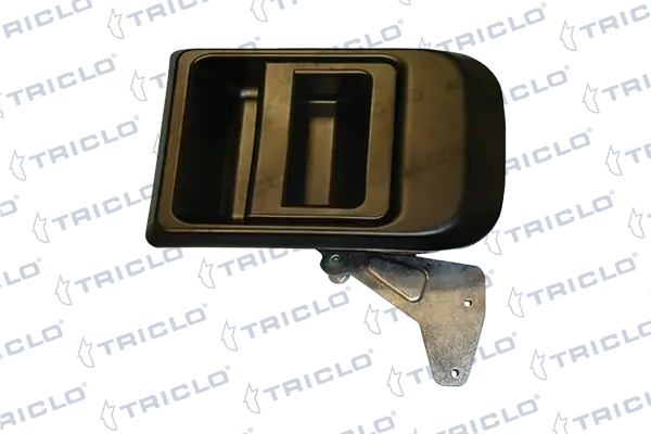 124824 Triclo