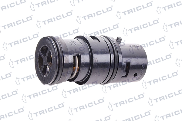 462455 Triclo