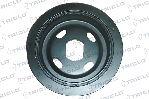 Compre 95517850 General Motors Polia de cambota