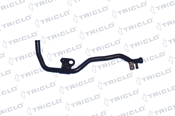 458606 Triclo