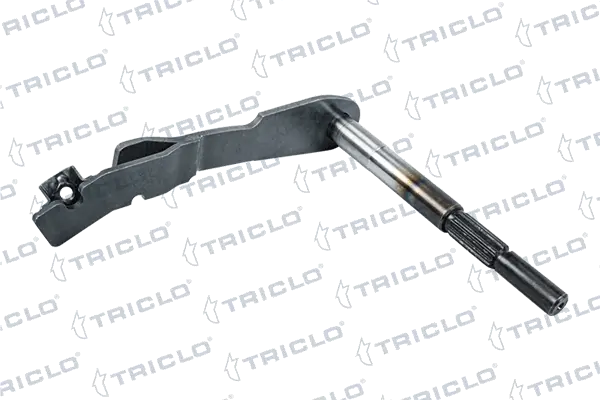620521 Triclo