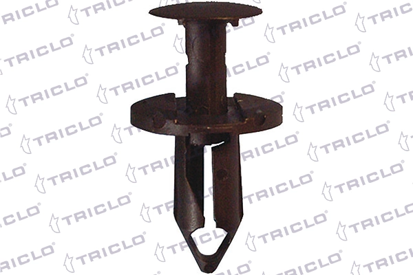 163091 Triclo