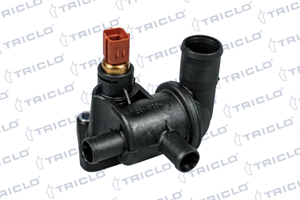 466177 Triclo