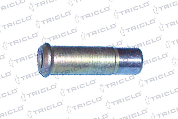 458332 Triclo