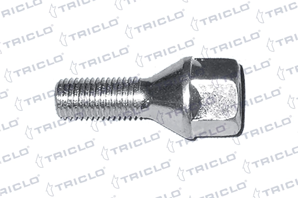 Parafuso de roda Renault 19 I B53, C53