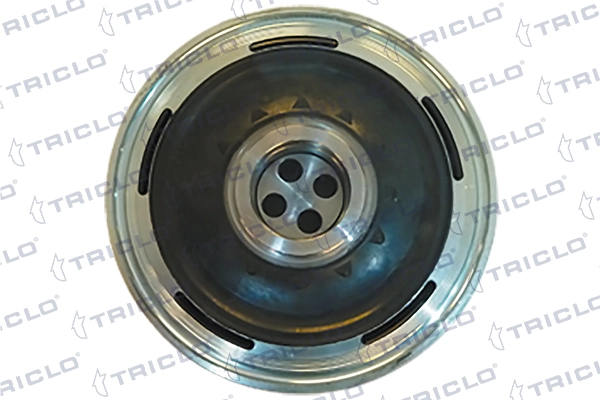 Compre VD1157 Continental/Siemens Polia de cambota