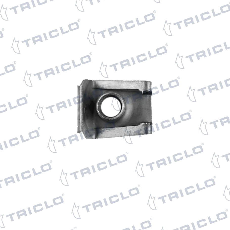 161703 Triclo