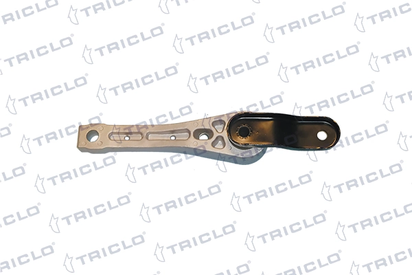 363165 Triclo