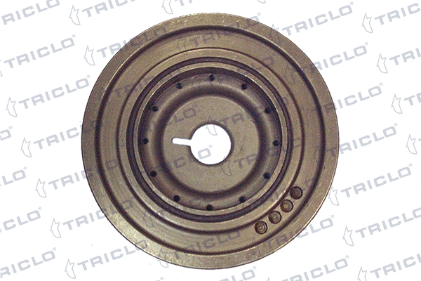 425054 Triclo Polia de cambota