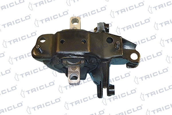 363164 Triclo