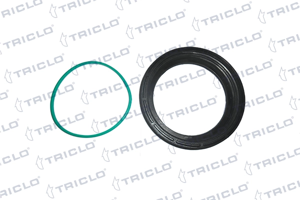 315807 Triclo